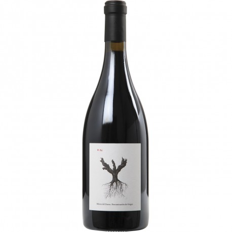 Dominio de Pingus PSI 2019 Ribera del Duero