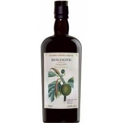Flora Antillarum Bologne Rhum Vieux 2022 54,9%
